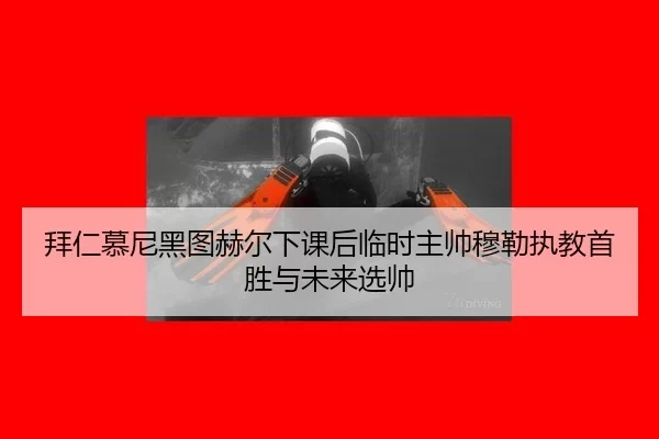 bai-ren-mu-ni-hei-tu-he-er-xia-ke-hou-lin-shi-zhu-shuai-mu-lei-zhi-jiao-shou-sheng-yu-wei-lai-xuan-shuai-2-430.jpg
